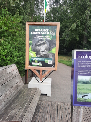 Bekijk de grote afbeelding